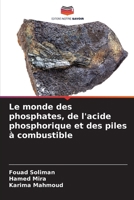 Le monde des phosphates, de l'acide phosphorique et des piles à combustible (French Edition) 6207577795 Book Cover