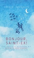 Bonjour, Saint-Ex!: Eine poetische Begegnung mit Antoine de Saint-Exupéry auf seinem letzten Flug (German Edition) 3384831942 Book Cover