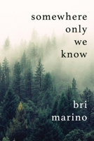 somewhere only we know 1535167424 Book Cover