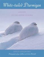 White-tailed Ptarmigan: Ghosts of the Alpine Tundra 1555663974 Book Cover