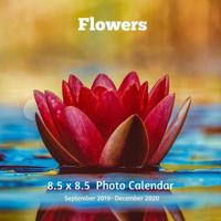 Flowers 8.5 X 8.5 Calendar September 2019 -December 2020: Monthly Calendar with U.S./UK/ Canadian/Christian/Jewish/Muslim Holidays-Wildflower Garden 1098896785 Book Cover