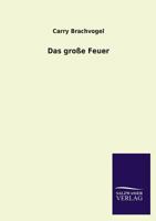 Das Grosse Feuer 3846023620 Book Cover