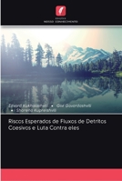 Riscos Esperados de Fluxos de Detritos Coesivos e Luta Contra eles 6202589043 Book Cover