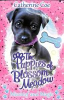 Mischief and Magic (Puppies of Blossom Meadow 2) 140719867X Book Cover