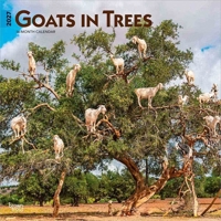 Goats in Trees 2027 12 X 24 Inch (Hanging) Monthly Square Wall Calendar Plastic-Free B0GH2LQC89 Book Cover
