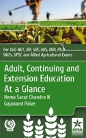 Adult Continuing and Extension Education at a Glance 9390384028 Book Cover