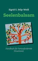 Seelenbalsam: Handbuch für herausfordernde Situationen (German Edition) 3740768576 Book Cover