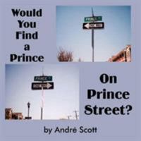 Would You Find a Prince on Prince Street? 1425903304 Book Cover