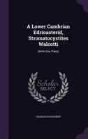 A Lower Cambrian Edrioasterid, Stromatocystites Walcotti: 1144737346 Book Cover