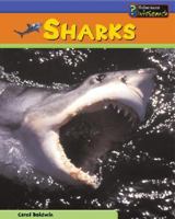 Sea Creatures: Sharks 1403409587 Book Cover