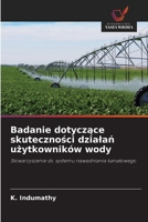 Badanie dotyczace skutecznosci dzialan uzytkowników wody (Polish Edition) 620983888X Book Cover