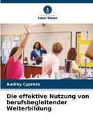 Die effektive Nutzung von berufsbegleitender Weiterbildung (German Edition) 6208653274 Book Cover