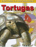 Tortugas/turtles: Por Dentro Y Por Fuera / Inside And Out (Explora la Naturaleza) 1404228691 Book Cover