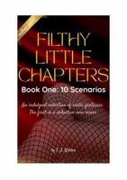 Filthy Little Chapters: Ten Scenarios 1764246705 Book Cover