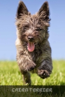 Cairn Terrier: Complete breed guide B09BYBFNL5 Book Cover