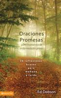 Oraciones y promesas: 30 reflexiones breves para mañana y tarde 0829751750 Book Cover