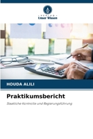 Praktikumsbericht 6205839318 Book Cover