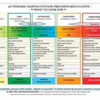 Autonomic Nervous System Table: Wall Poster 0393712818 Book Cover