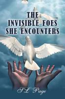 The Invisible Foes She Encounters 1963757807 Book Cover