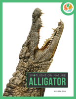 Alligator 1628328681 Book Cover
