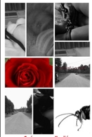 Black Spring Bloom 130476110X Book Cover