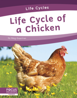 Life Cycle of a Chicken 1644938731 Book Cover