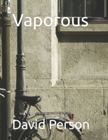 Vapourous B0CVBMGVNF Book Cover