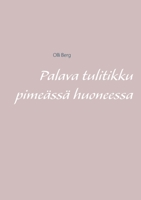 Palava tulitikku pimeässä huoneessa 9528048005 Book Cover