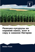 Реакция кукурузы на коровий навоз, азот и серу в саванне Нигерии 620407251X Book Cover