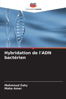 Hybridation de l'ADN bactérien (French Edition) 6207535987 Book Cover