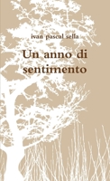 Un anno di sentimento (Italian Edition) 1447836243 Book Cover