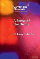 A Sense of the Divine: An Affective Model of General Revelation from the Reformed Tradition 1009527894 Book Cover