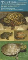 Turtles in Your Pocket: A Guide to Freshwater and Terrestrial Turtles of the Upper Midwest (Bur Oak Guide) 1609380614 Book Cover