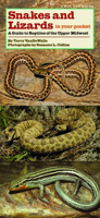 Snakes and Lizards in Your Pocket: A Guide to Reptiles of the Upper Midwest 1587298724 Book Cover