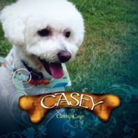 Casey 1425786774 Book Cover