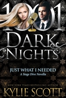 Just What I Needed: A Stage Dive Novella B09NMWS9TZ Book Cover
