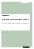 Bedeutung und Auswirkung der Kindheit: Entwicklungs- und Bindungsprozesse, Risiko- und Schutzfaktoren 3656545642 Book Cover