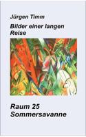 Raum 25 Sommersavanne 3740733071 Book Cover