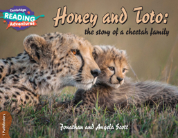 Honey and Toto: The Story of a Cheetah Family 1 Pathfinders 1108436153 Book Cover