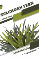 Staghorn Fern: Closed terrarium, Beginner's Guide B0CGL335ZX Book Cover