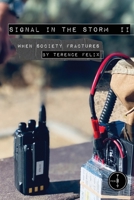 Signal in the Storm II: When Society Fractures B0HL2WKRSM Book Cover
