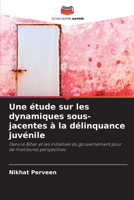 Une étude sur les dynamiques sous-jacentes à la délinquance juvénile (French Edition) 6207789601 Book Cover