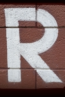 R B0DZ32CGBM Book Cover