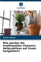 Wie werden die traditionellen Chamoru-Heilpraktiken auf Guam fortgeführt? (German Edition) 6207628020 Book Cover