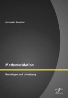 Methanoxidation: Grundlagen und Umsetzung 3842878001 Book Cover