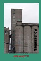 Thundersnow 1545213291 Book Cover