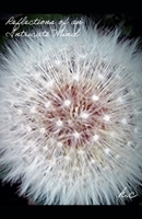 Reflections of an Intricate Mind B0FKS3TLHN Book Cover
