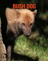 Bush Dog: Fun Learning Facts About Bush Dog B08KMDCDZ3 Book Cover
