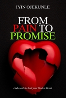 From Pain to Promises B0GTCKDS2Z Book Cover