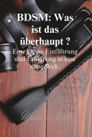 BDSM: Was ist das überhaupt ?: Sadismus, Partner, Bondage, Erotik, sex, Rollenspiel B0C7F76YT7 Book Cover